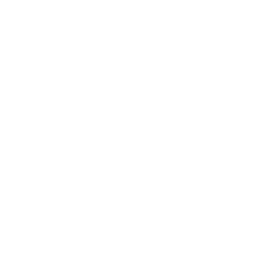 Barbados Port Inc.